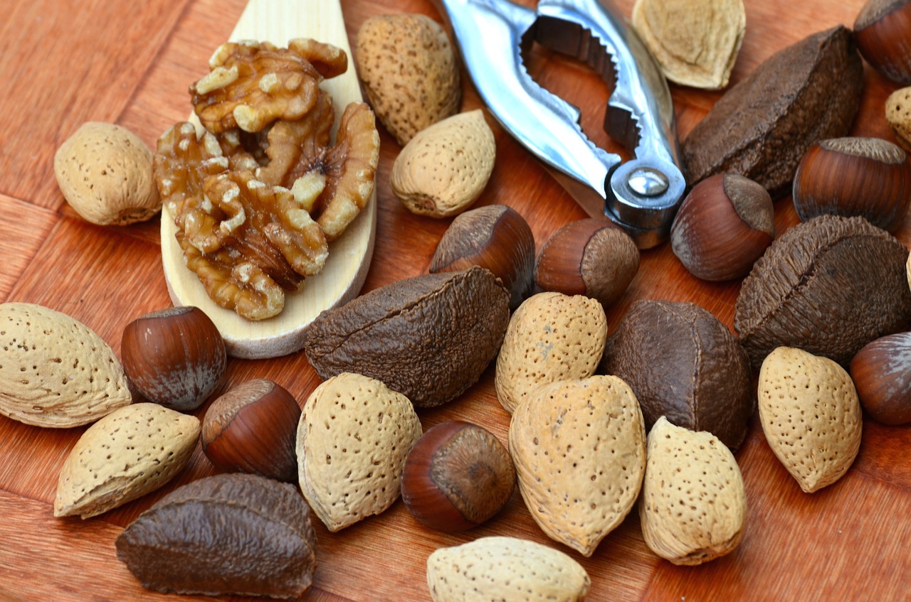 nuts-1703663_1280